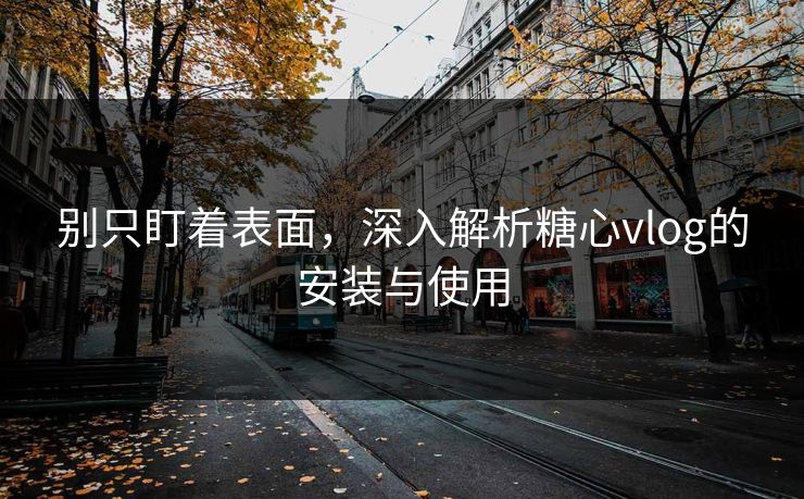 别只盯着表面，深入解析糖心vlog的安装与使用